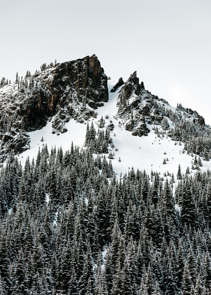 a vertical, black and white, landscape shot showing off the location for this backpacking wedding. an unending sea of pines are all blanketed with fresh snow