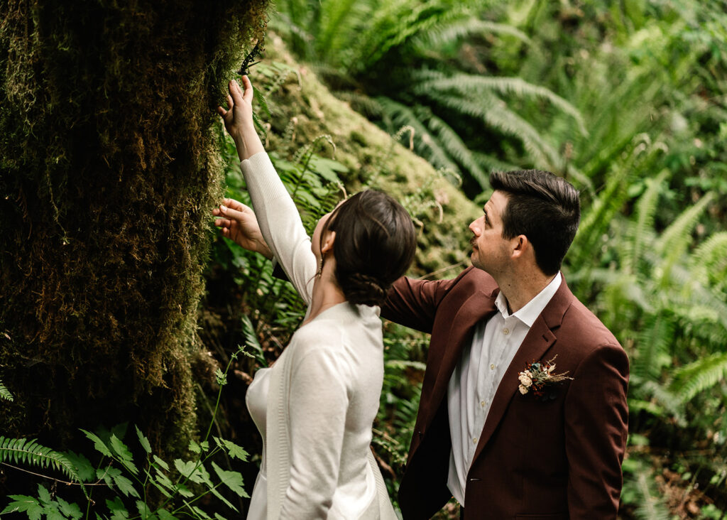 during their backpacking wedding, a bride and groom, in their wedding attire, stop a long the trail to gently touch green, hanging moss