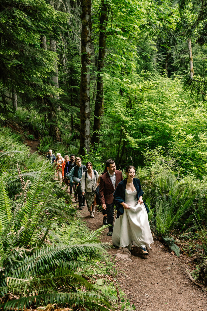 an image of the entire group hiking through a lush forest during this backpacking elopement