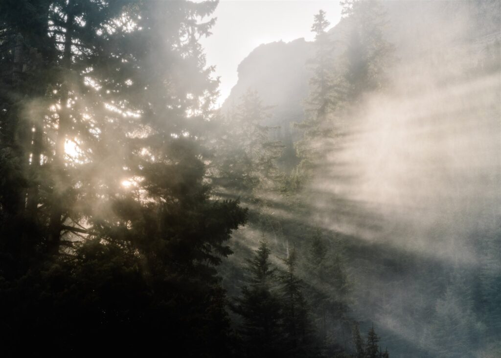 golden morning light filters through the trees. Mist from the waterfall makes it insanely cinematic and beautiful