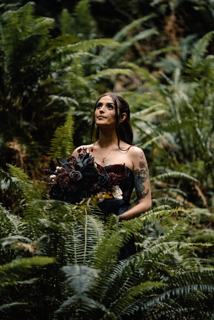 a bride stands surrounded by ferns in an all black wedding dress. she gazes up towards the light filtering through the canopy