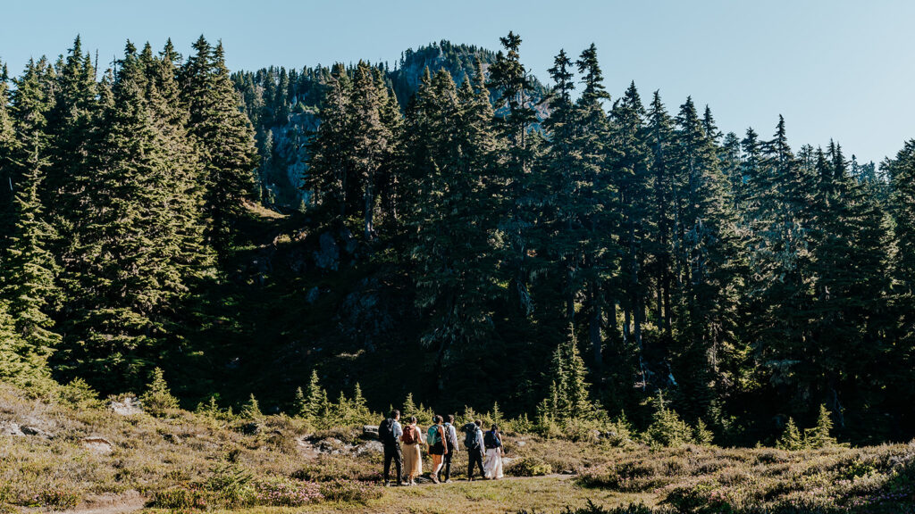 a group of friends with hiking backpacks and wedding attire hike through a meadow. the sun shines brightly as they explore during their hiking elopement