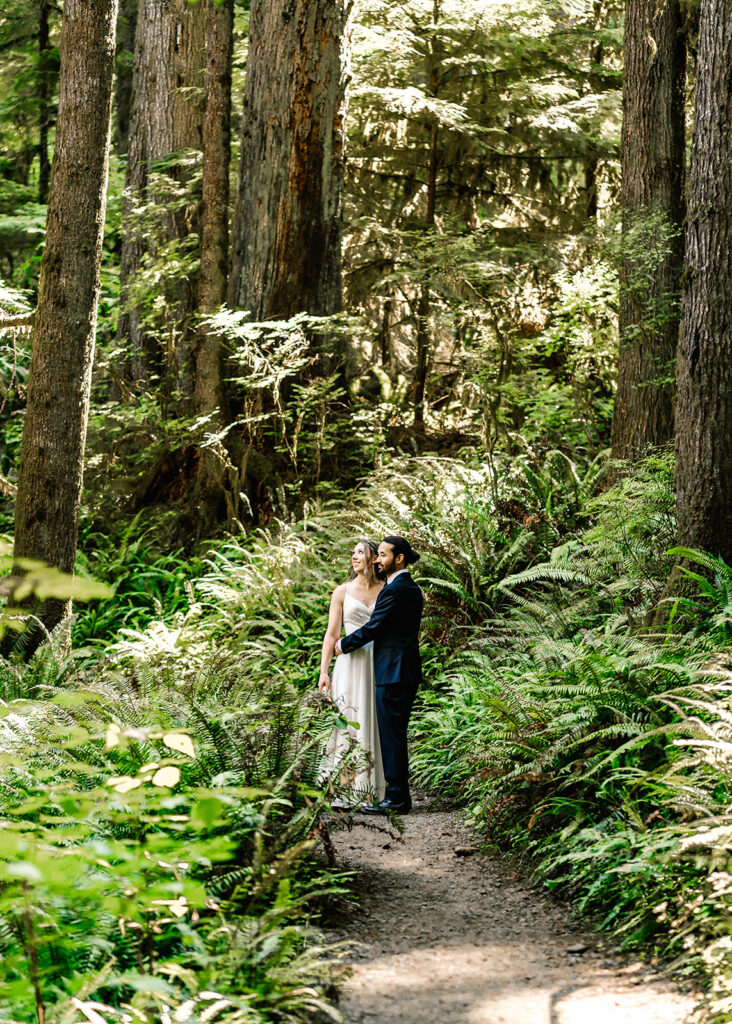 a bride and groom embrace in a bed of ferns. tall trees tower all around them as they explore the rainforest in their wedding attire before their ruby beach elopement