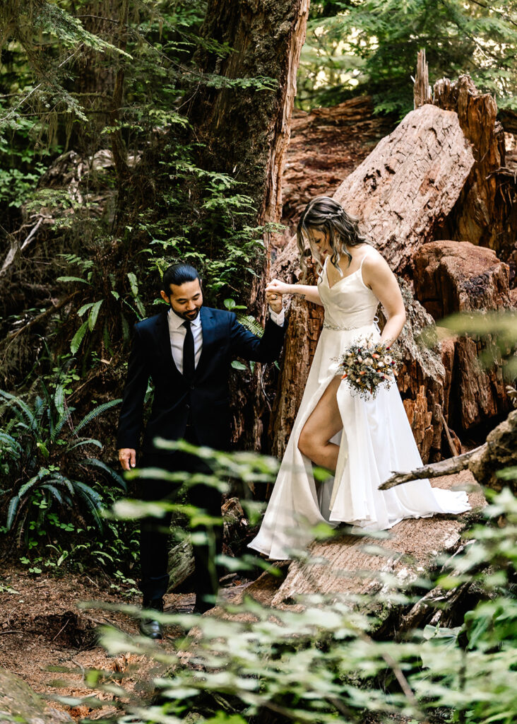 a groom helps his bride through a fallen tree. They are dressed in their wedding attire to prepare for their ruby beach elopement