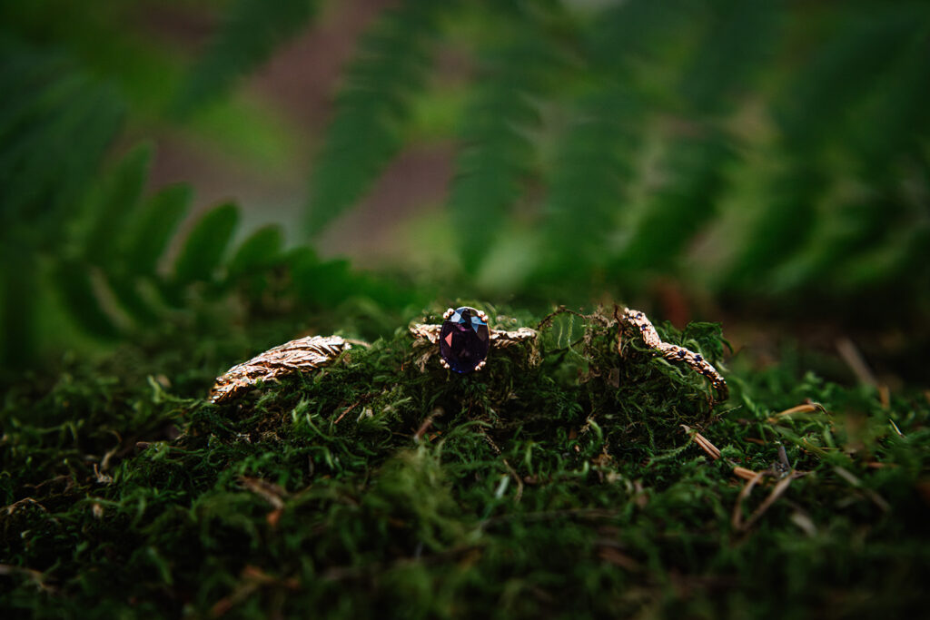 a close up shot of the gold wedding bands for this mount baker elopement 