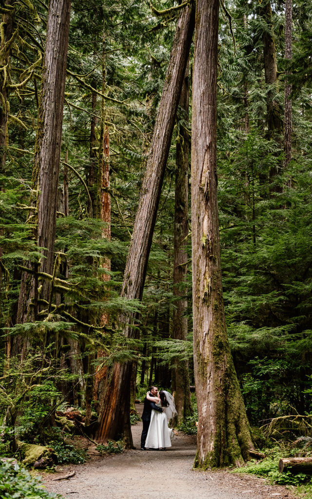 a couple in their wedding attire explore a lush, verdant forest before their lake crescent wedding. We see trees towering above them as they embrace on a dirt trail. 